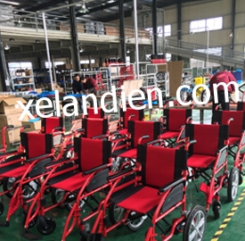 xelandiensm2115