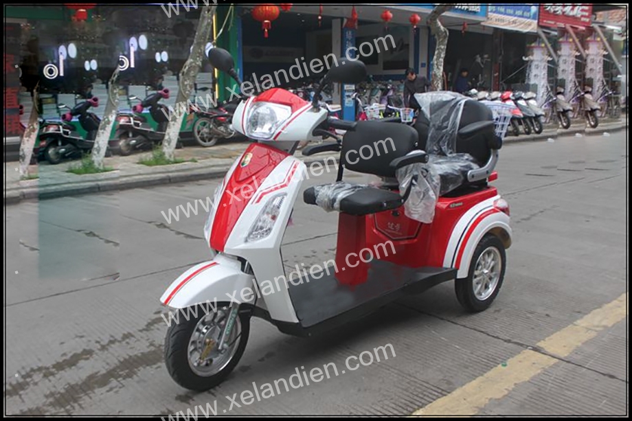 xe_3_banh_chay_dien_bac_ninh